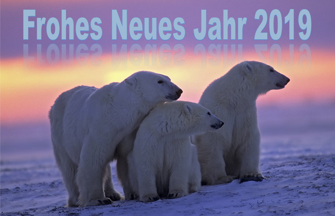 Frohes Neues Jahr 2019